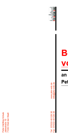 flyerbvb1