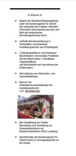 flyerbvb2